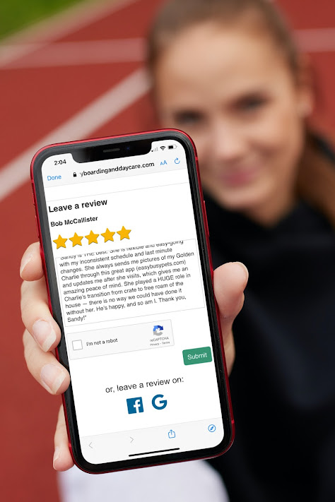 screenshot of Easy Busy Pets